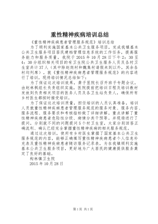 重性精神疾病培训总结