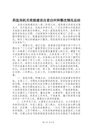 药监局机关效能建设自查自纠和整改情况总结