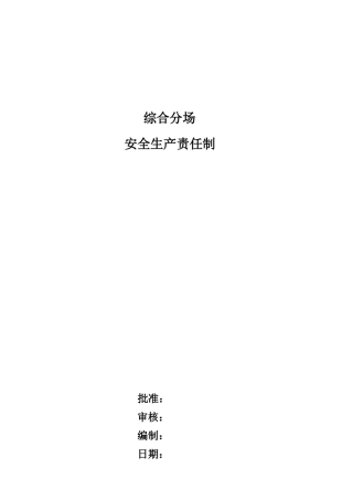 综合分场安全生产责任制hao