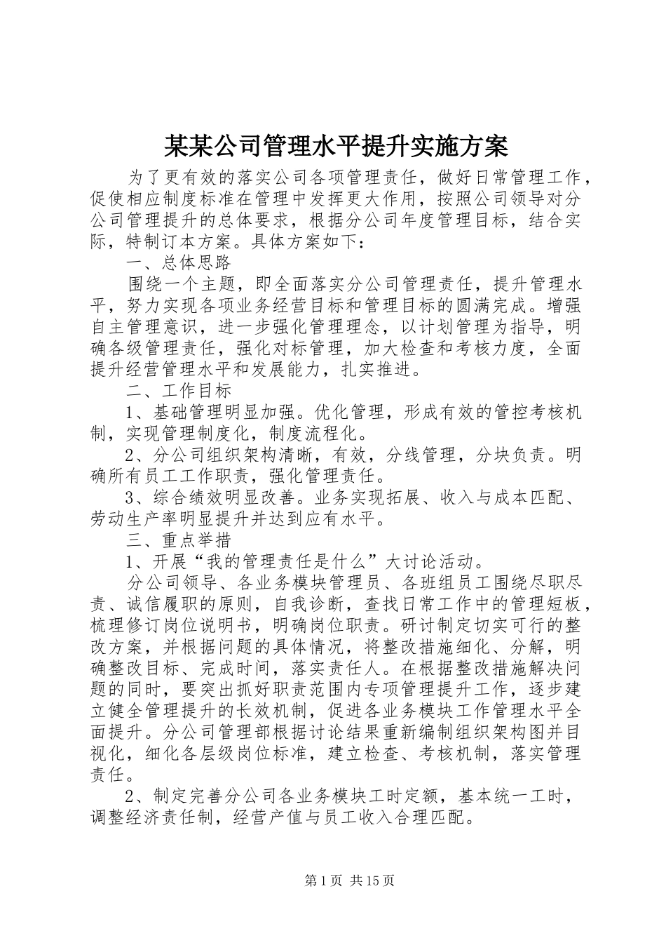 某某公司管理水平提升方案_第1页