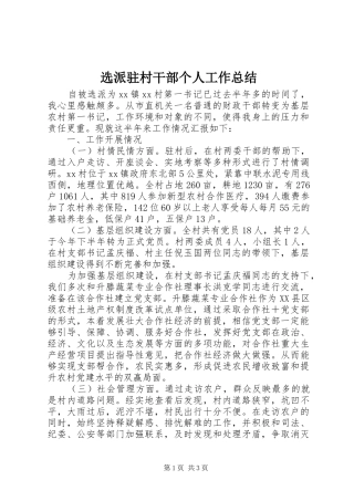 选派驻村干部个人工作总结