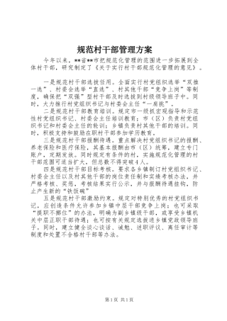 规范村干部管理实施方案
