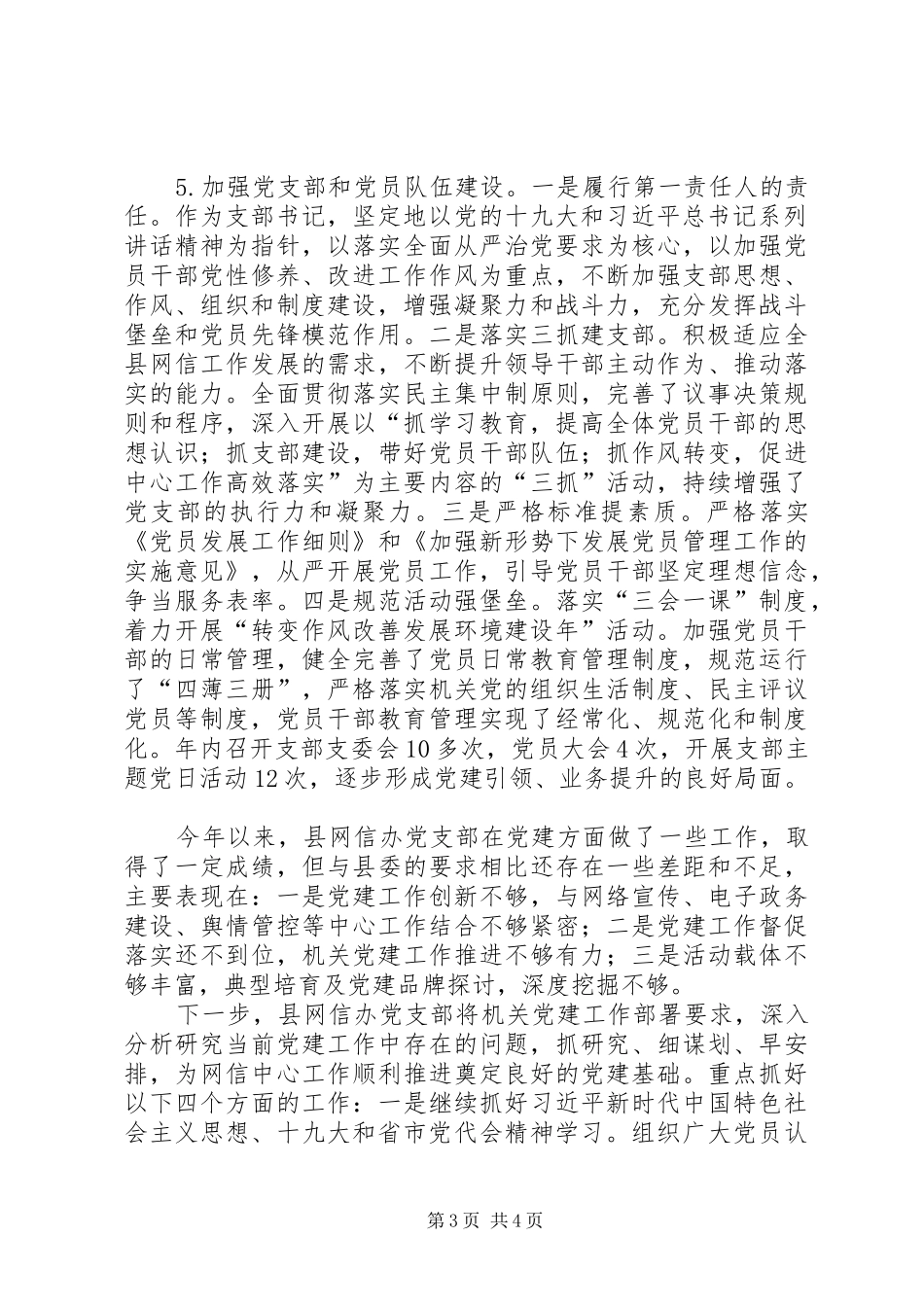 网信办党支部党建工作总结_第3页