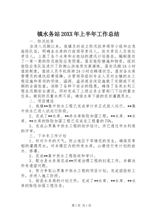 镇水务站20XX年上半年工作总结