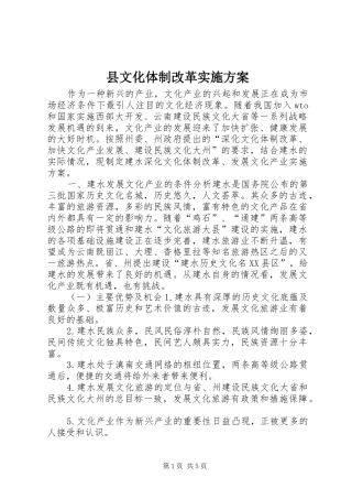 县文化体制改革方案