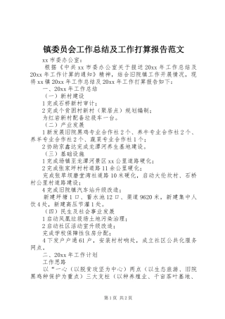 镇委员会工作总结及工作打算报告范文