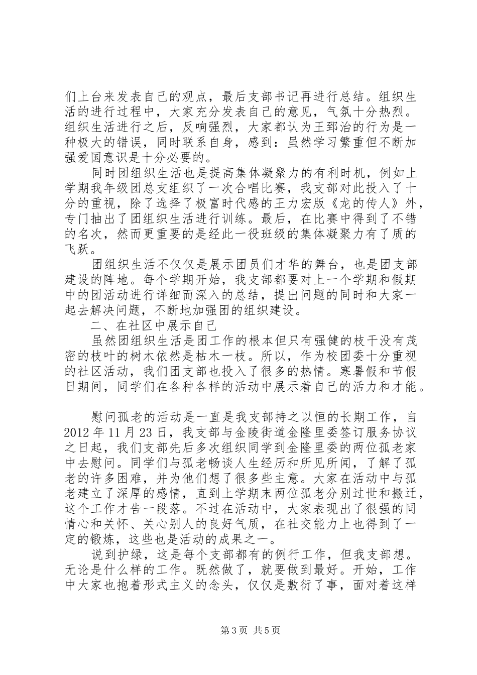 社区团支部年终总结_第3页