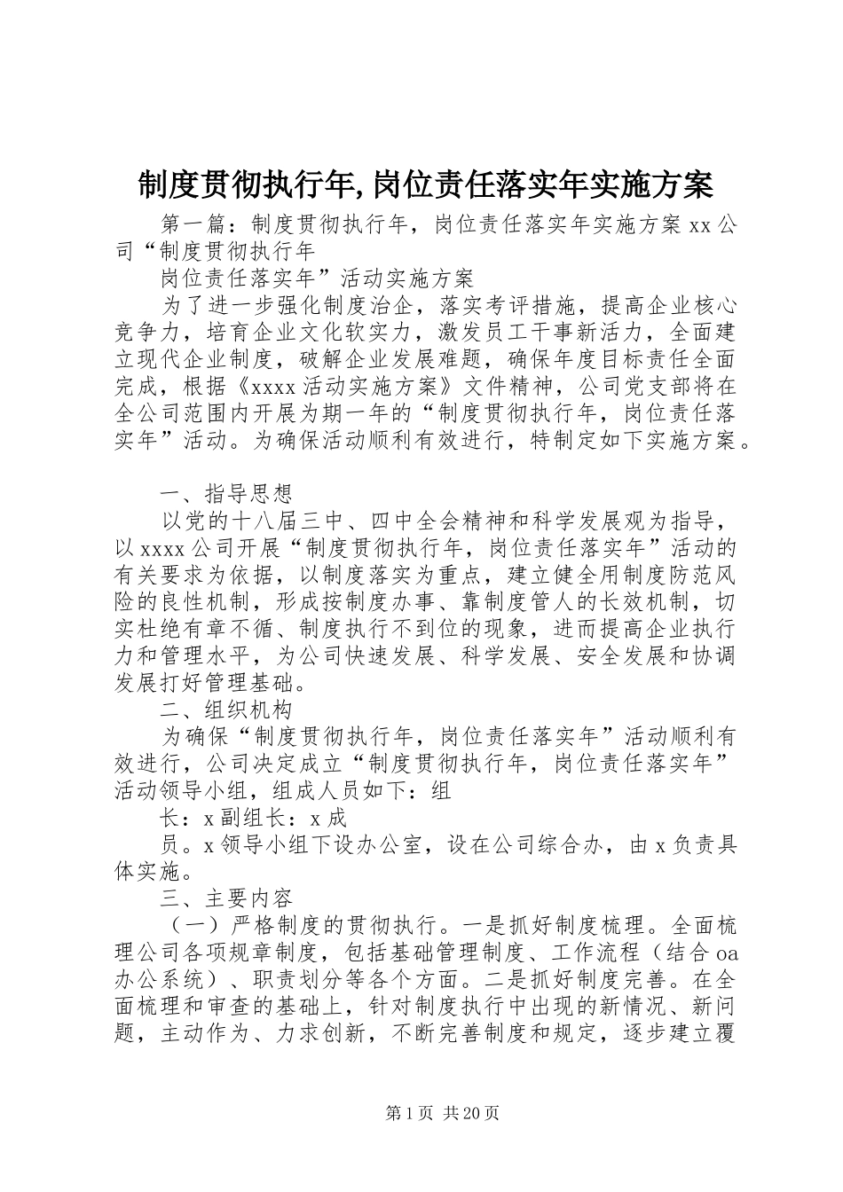 制度贯彻执行年,岗位责任落实年方案_第1页
