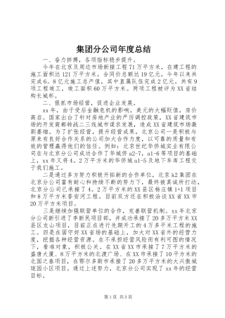 集团分公司年度总结
