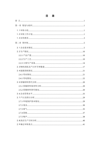 东红清洁生产审核报告