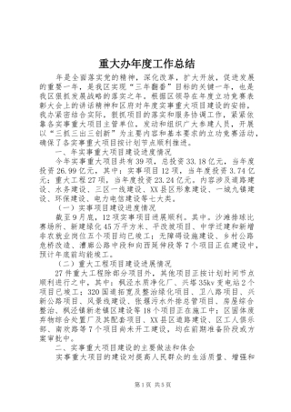 重大办年度工作总结