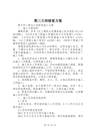 栗三大坝修复方案