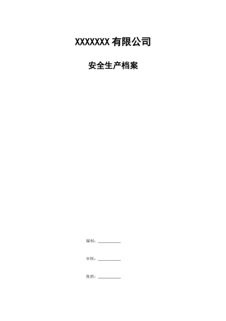 某某公司安全生产档案