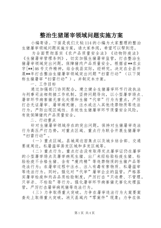 整治生猪屠宰领域问题方案