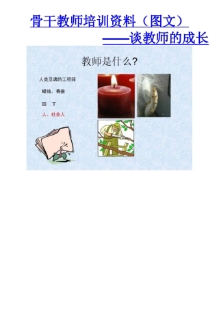 骨干教师培训资料图文