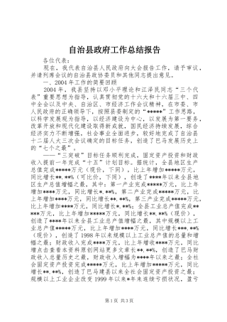 自治县政府工作总结报告