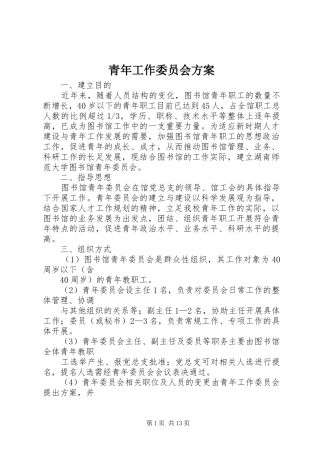 青年工作委员会方案