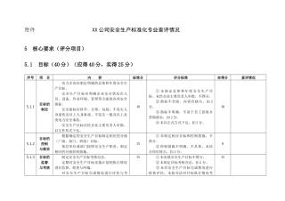 电力安全生产标准化达标评分表word