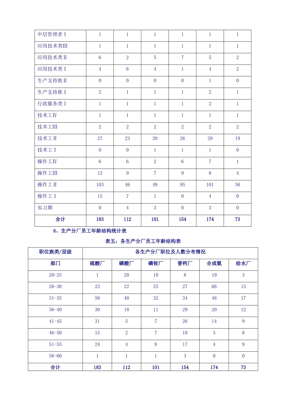 红星集团未来3~5年人力资源规划方案_第3页