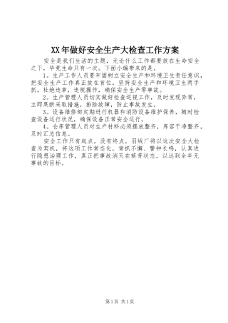 XX年做好安全生产大检查工作实施方案