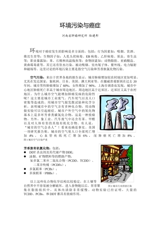 环境污染与癌症