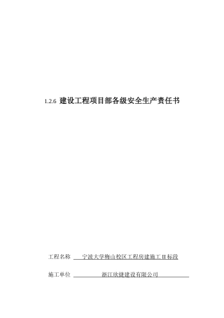 建设工程项目部各级安全生产责任书