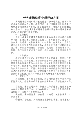 劳务市场秩序专项行动实施方案