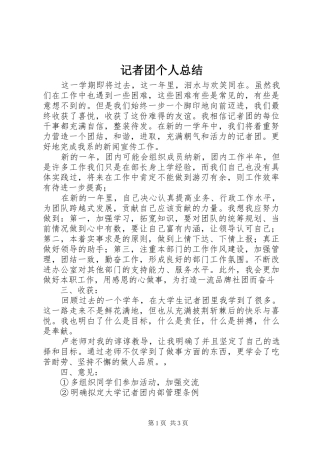 记者团个人总结