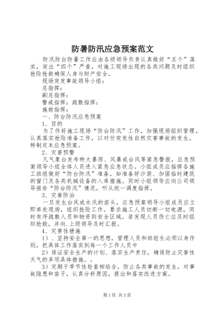 防暑防汛应急处理预案范文