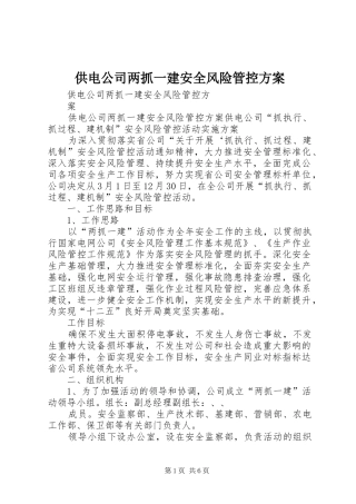 供电公司两抓一建安全风险管控实施方案