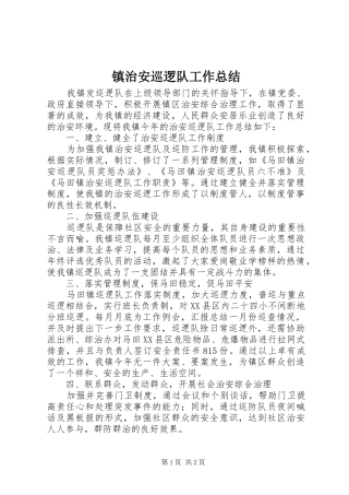 镇治安巡逻队工作总结