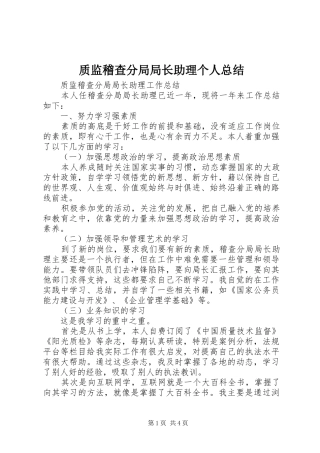 质监稽查分局局长助理个人总结