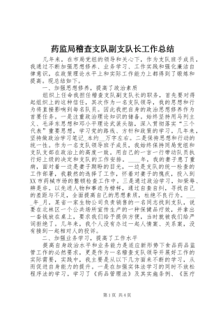 药监局稽查支队副支队长工作总结