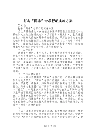 打击“两非”专项行动方案