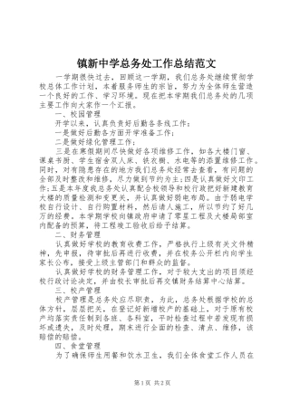 镇新中学总务处工作总结范文