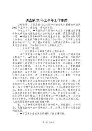 调查队XX年上半年工作总结