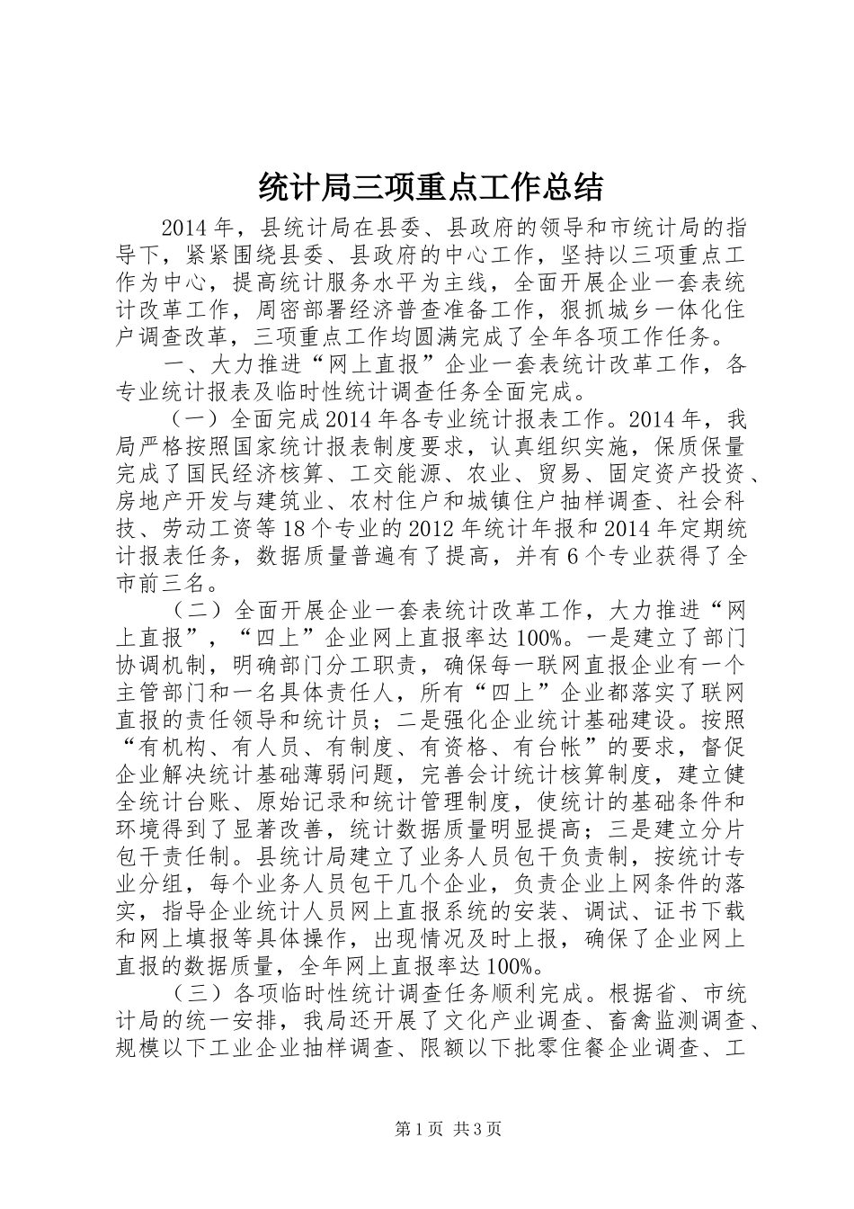 统计局三项重点工作总结_第1页