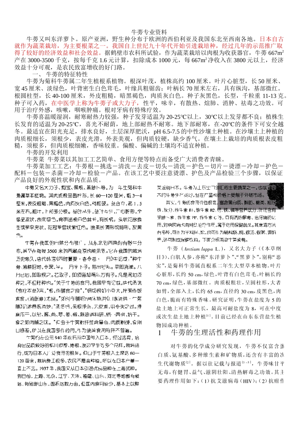 牛蒡知识及加工技术_第1页