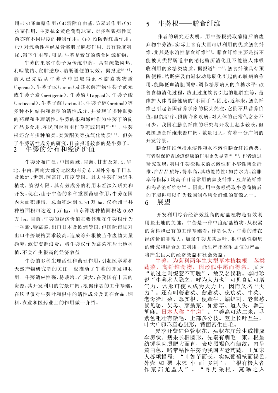 牛蒡知识及加工技术_第2页