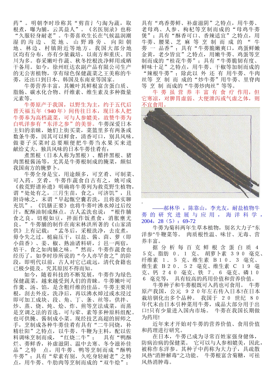 牛蒡知识及加工技术_第3页