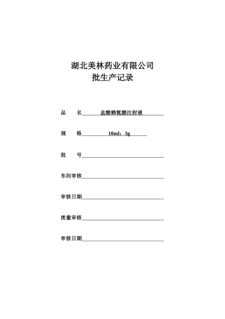 盐酸赖氨酸注射液批生产记录