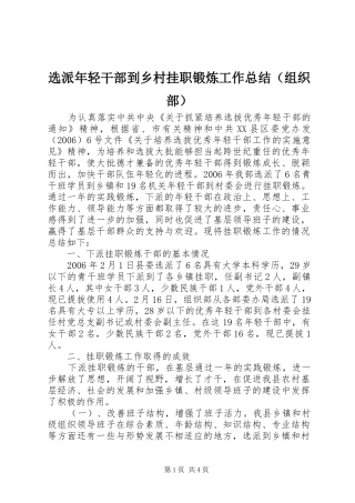 选派年轻干部到乡村挂职锻炼工作总结（组织部）