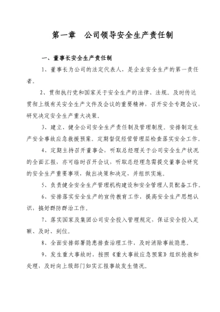 地煤公司XXXX年安全生产责任制(正文)