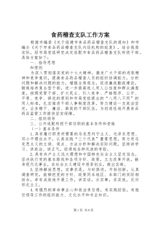 食药稽查支队工作实施方案