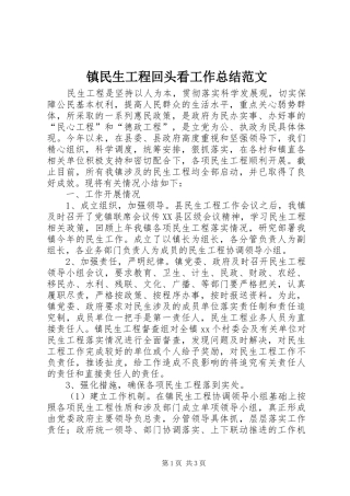 镇民生工程回头看工作总结范文
