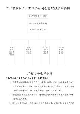 企业安全管里组织架构图6