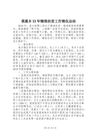 菜溪乡XX年精准扶贫工作情况总结