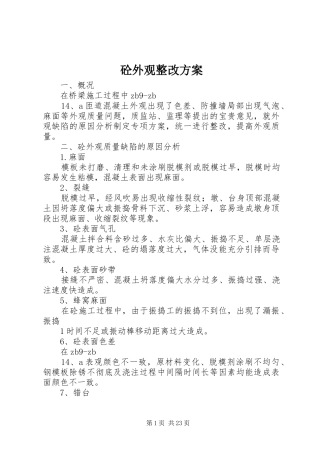 砼外观整改实施方案