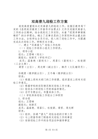 双高普九迎检工作实施方案