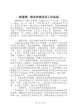 街道第一批农村指导员工作总结